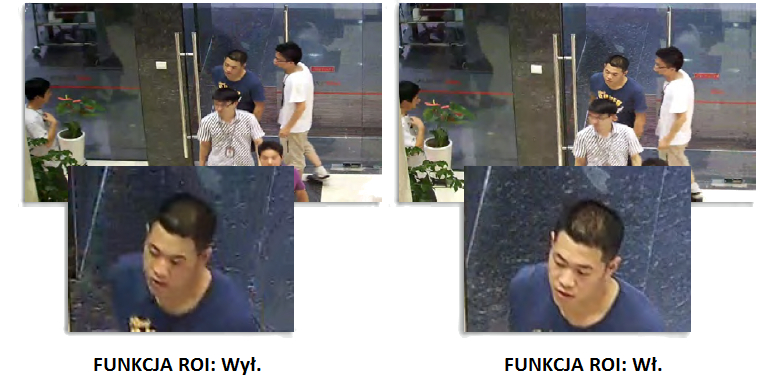 Funkcja ROI