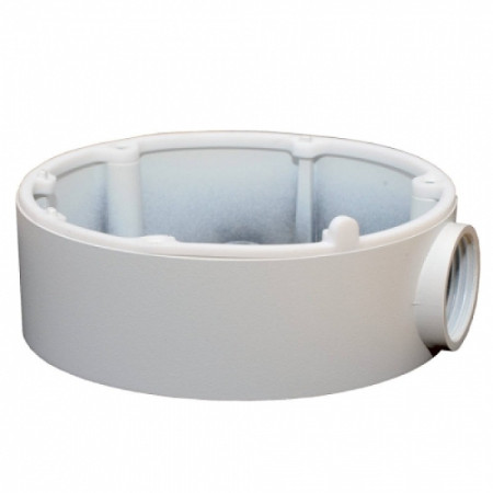 PUSZKA HIKVISION 
 DS-1280ZJ-DM21