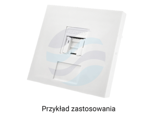 ALANTEC Adapter 45x45 1xRJ45, płaski, biały 2